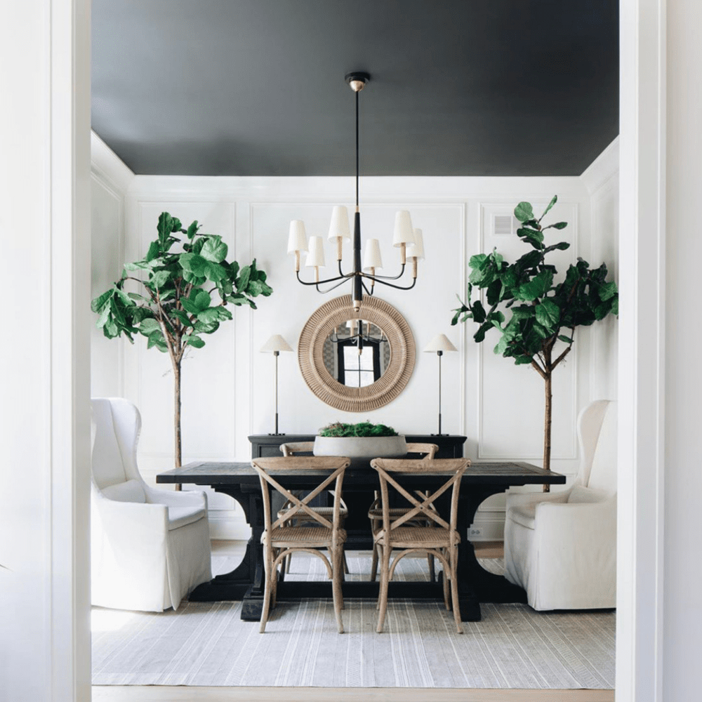 Charcoal ceiling, board and batten, olive trees.